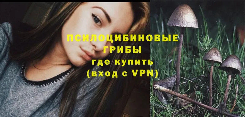 Псилоцибиновые грибы мухоморы  Уржум 